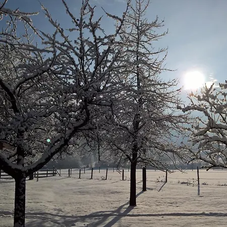 Morgensonne アパート *