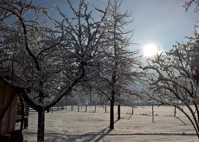 Morgensonne Appartement *